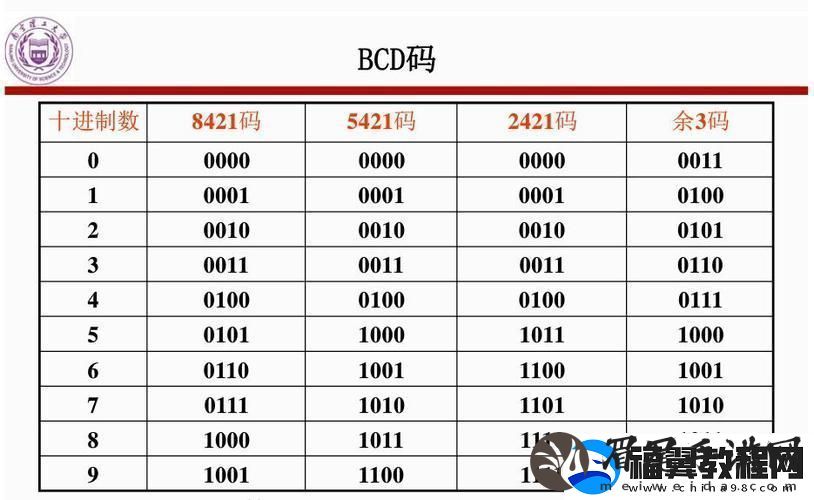 “2421码解锁数码世界的神秘面纱！友热议笑谈科技界的奇葩码”