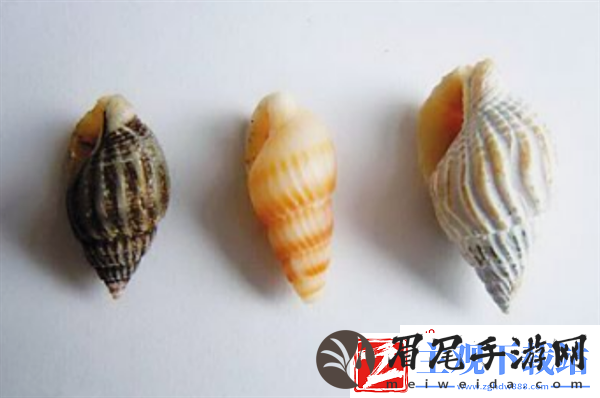 1颗可致命！女子连吃10多颗被送进ICU紧急抢救