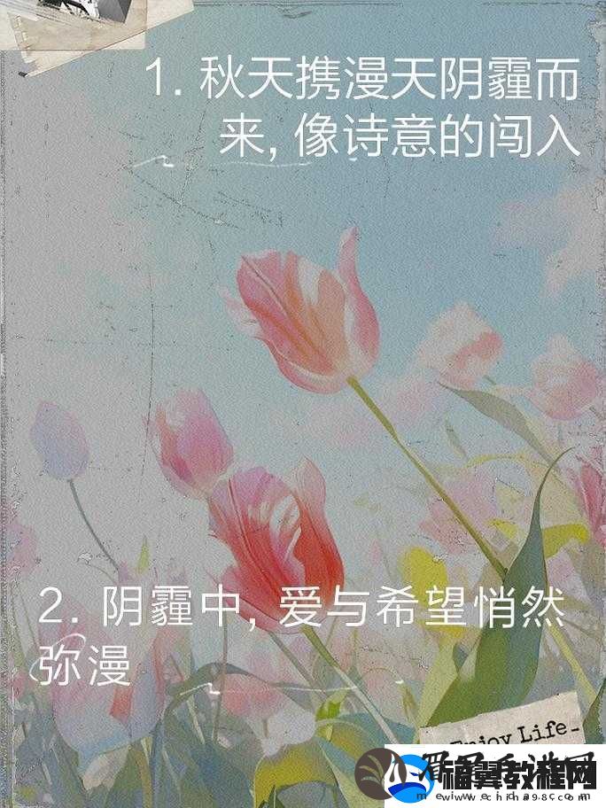今夜无人入睡