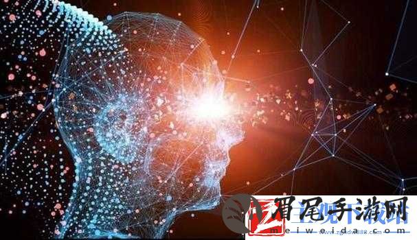 美国视频