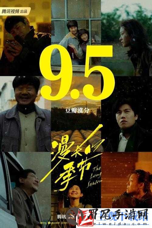 最好看的中文字幕国语电视剧：豆瓣评分-9.5-以上的国产剧