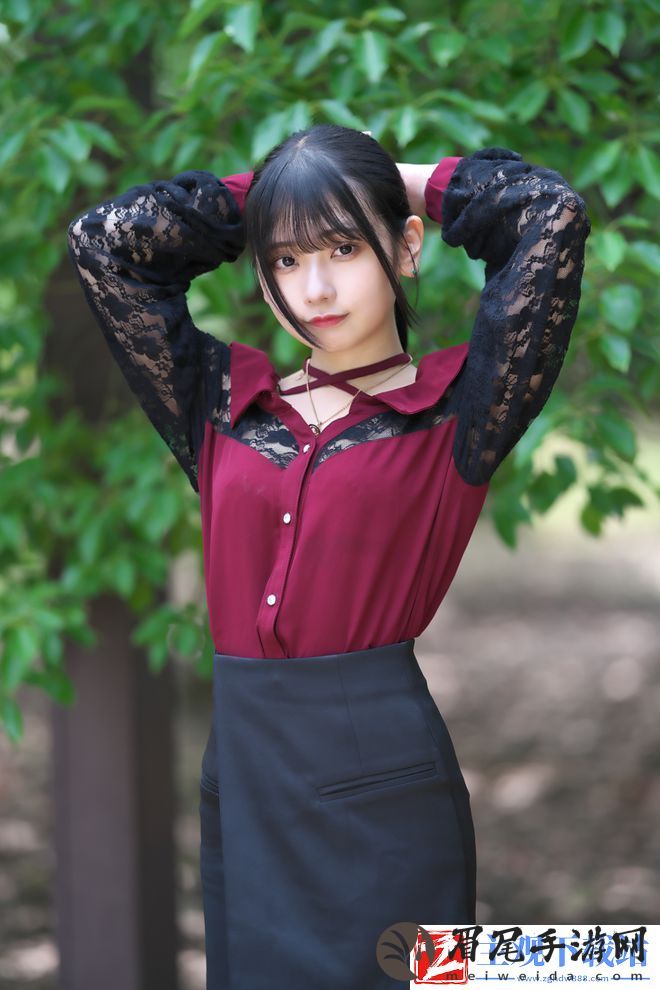 一杆长枪植入两扇门