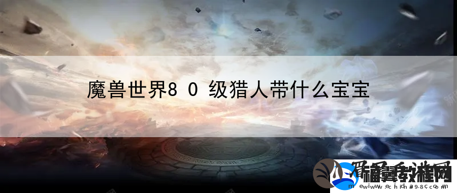 魔兽世界80级猎人带什么宝宝