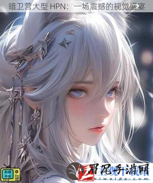 暗卫营大型