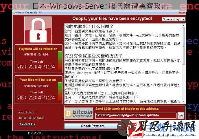 日本-Windows-Server-服务器遭黑客攻击