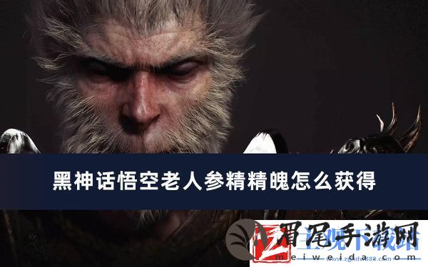 黑神话悟空老人参精精魄怎么获得