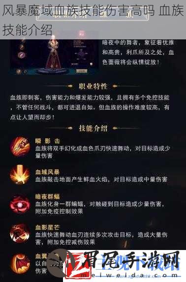 风暴魔域血族技能伤害高吗