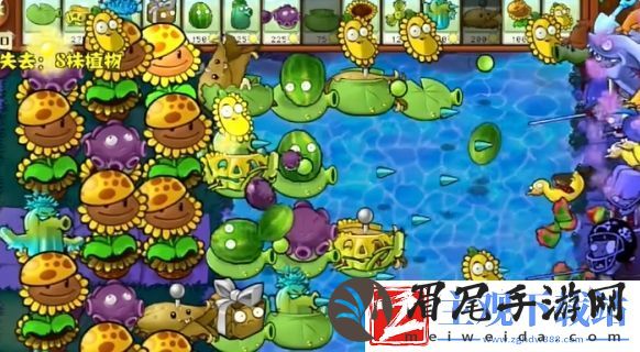 植物大战僵尸杂交版冒险模式第76关通关攻略