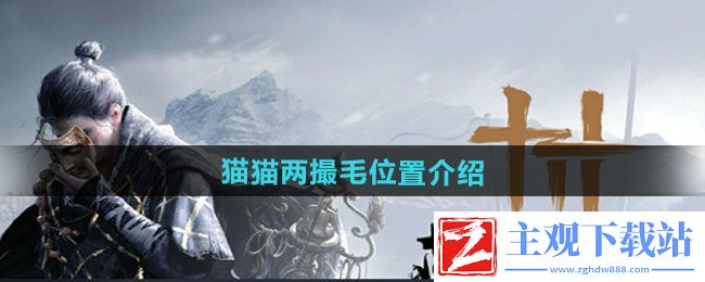 燕云十六声猫猫两撮毛在哪-猫猫两撮毛位置介绍