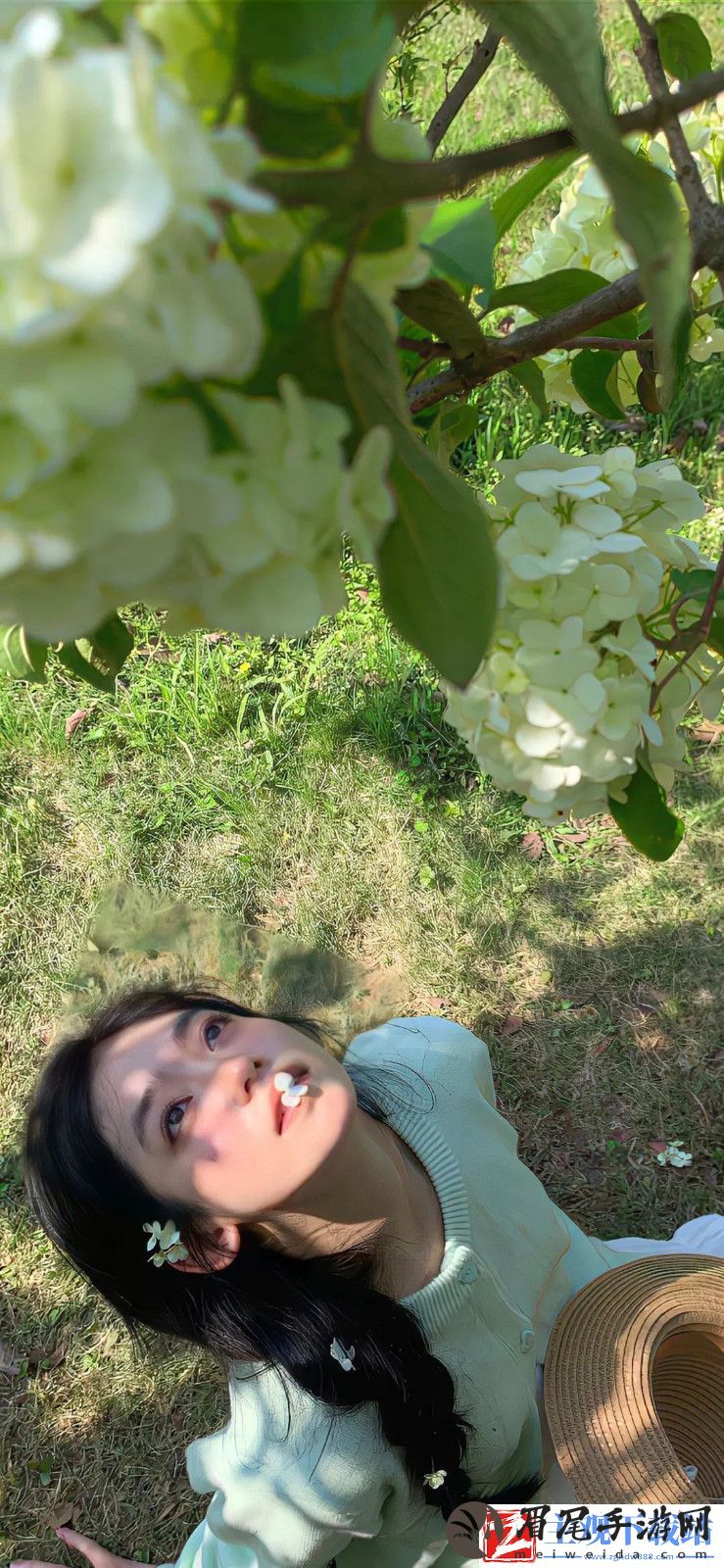 NPC每天都在被爆炒