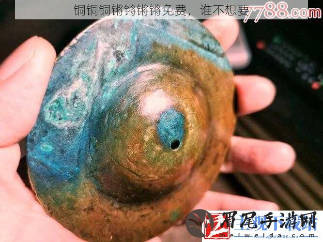 铜铜铜锵锵锵锵免费