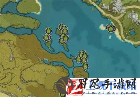 帕斯卡契约青蛙位置大全