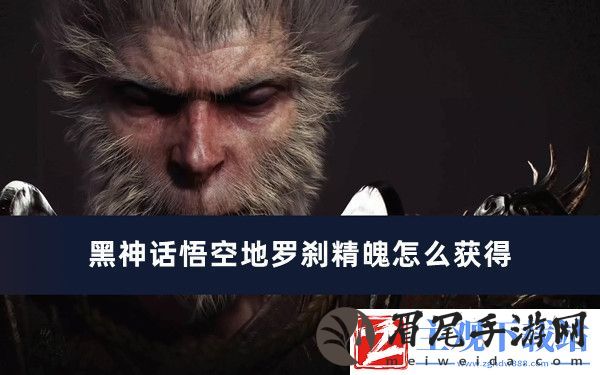 黑神话悟空地罗刹精魄怎么获得-黑神话悟空地罗刹精魄获得方法推荐
