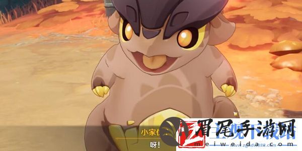 原神纳塔小龙命名彩蛋有哪些