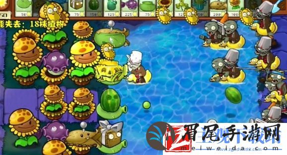 植物大战僵尸杂交版冒险模式第76关通关攻略