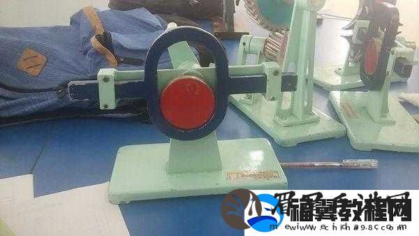 性别自由凸轮管：相关探讨
