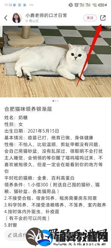 小红书图片无水印保存方法小红书图片怎么去水印保存