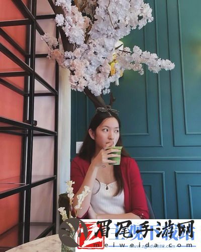 多人+高ch海棠mba智库：融合创新思维，推动企业迈向全球舞台！