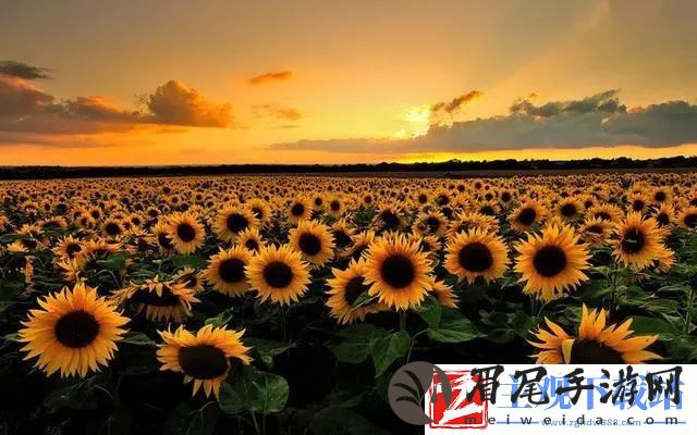 乖！我们换个姿态最火的一句：探索如何融入日常生活