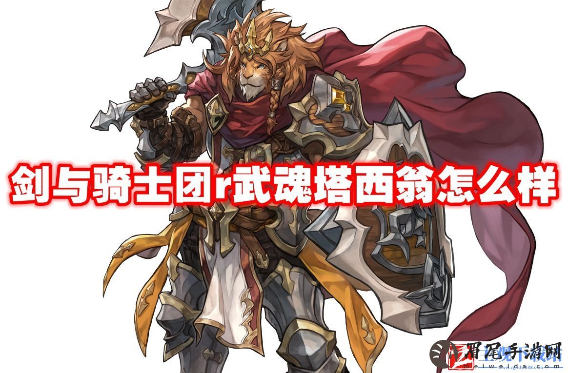 武器信息：实战指南与心得分享
