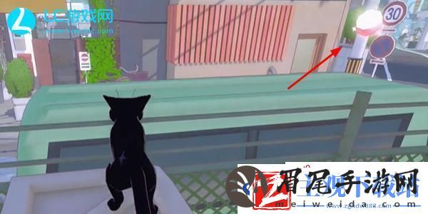 小猫咪大城市瓢虫帽怎么获得