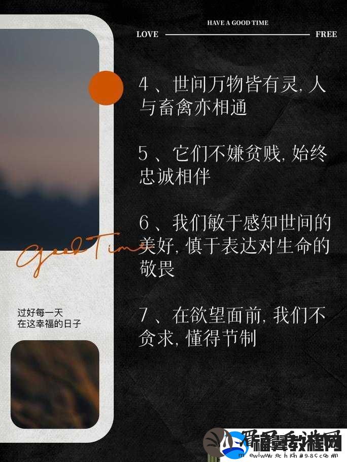 人与畜禽共性关系的重要性：深度探究与思考