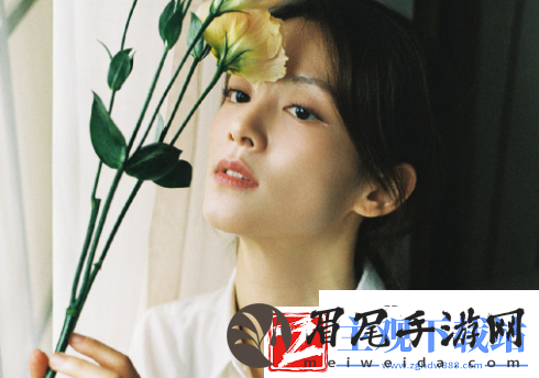 八重神子骑在旅行者身上：勇气与智慧的象征
