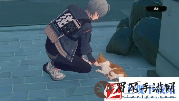 绝区零怎么收养小猫