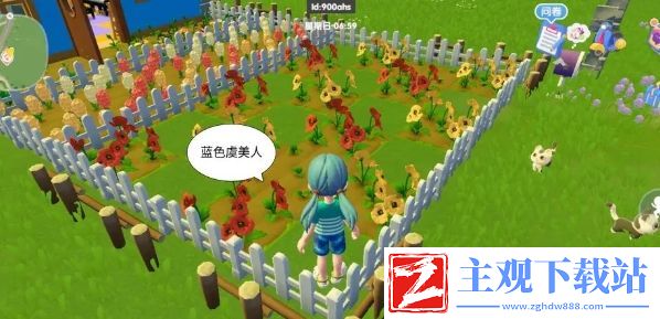心动小镇虞美人如何杂交