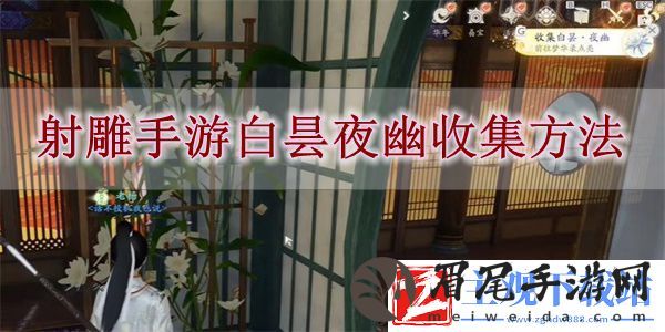 射雕手游白昙夜幽怎么收集