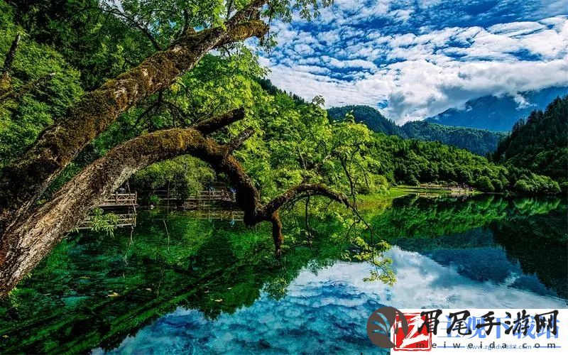 麻花传媒CEO