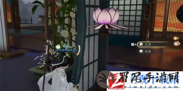 射雕手游白昙夜幽怎么收集