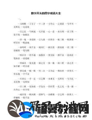 一个四一个大是什么成语