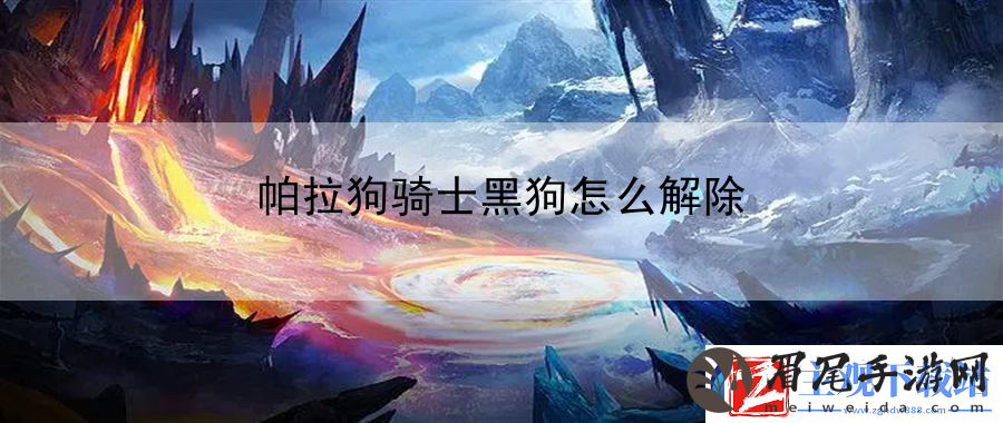 帕拉狗骑士黑狗怎么解除：角色定位与装备搭配术