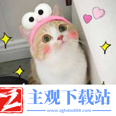 厉害了我的哥2144永恒情缘之策略升级