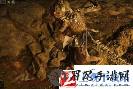 艾尔登法环片鳞混种怎么打-艾尔登法环片鳞混种打法攻略