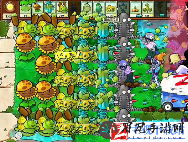 植物大战僵尸杂交版钢刺坚果王2通关攻略