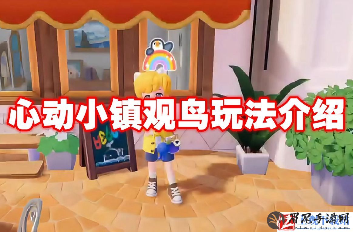 心动小镇观鸟玩法介绍：游戏平衡性与角色调整分析