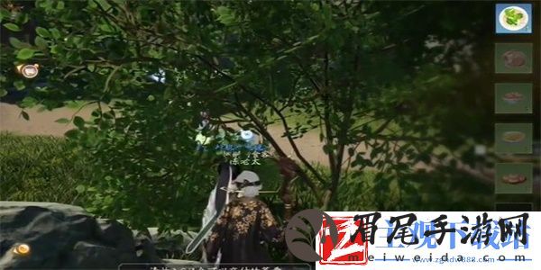 射雕红尘戏鱼脍尝鲜任务怎么完成