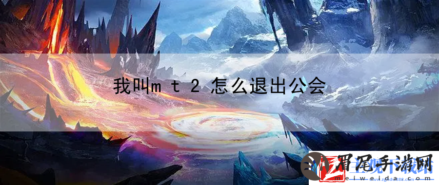 我叫mt2怎么退出公会：掌握社交互动技巧