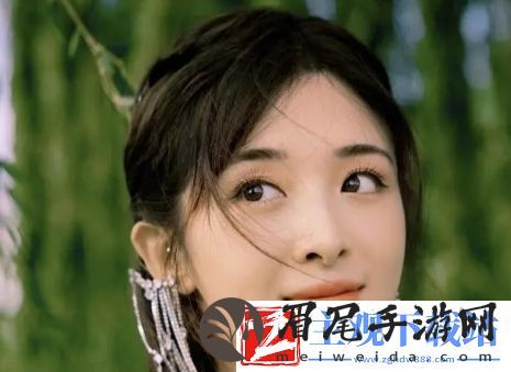 揭秘老BWBWBWBWBW对欢迎您车型