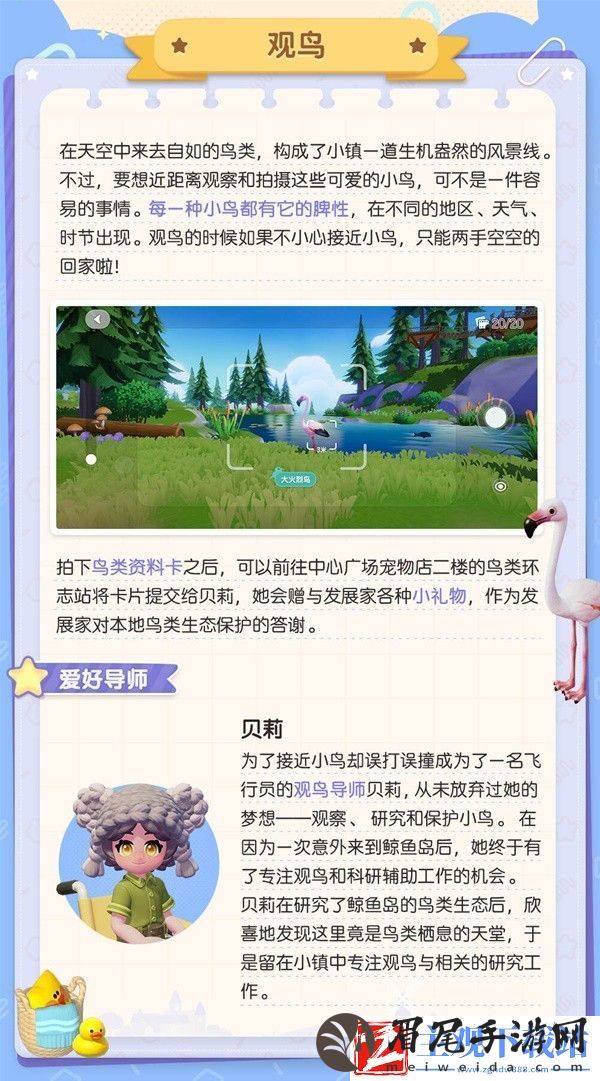 心动小镇观鸟玩法介绍