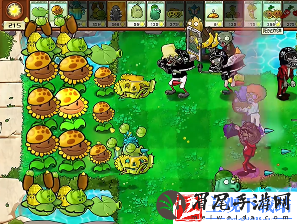 植物大战僵尸杂交版钢刺坚果王2通关攻略