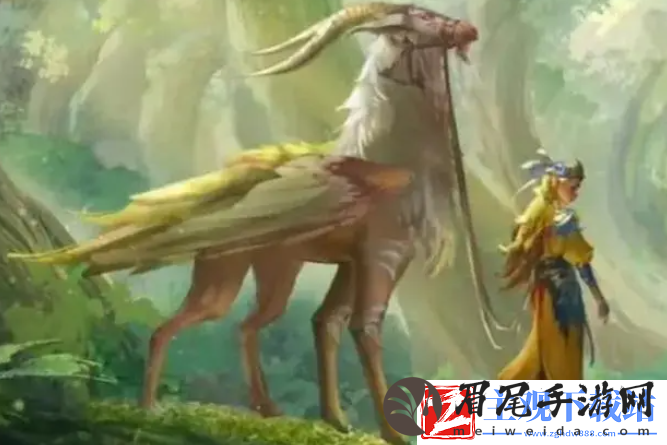 王者荣耀新英雄洗麟是什么定位
