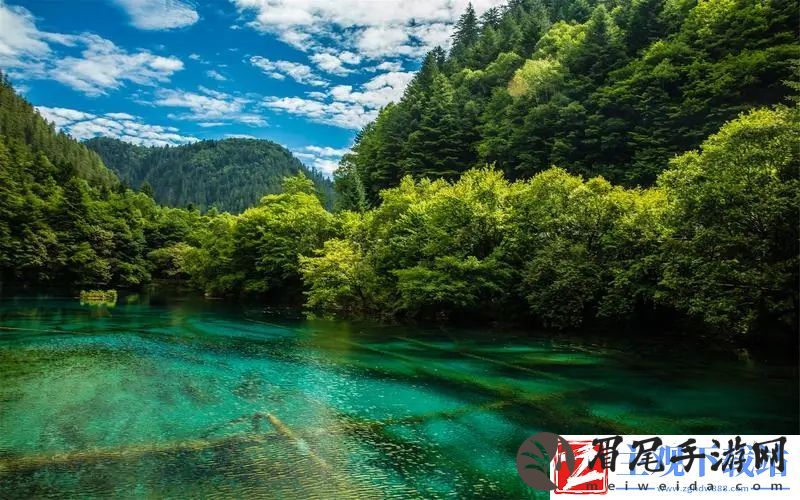 大片PPT免费：解锁创意无限的设计秘诀与趋势