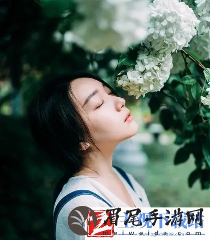 血源诅咒
