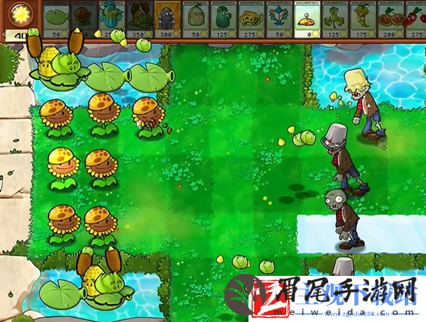 植物大战僵尸杂交版钢刺坚果王2通关攻略