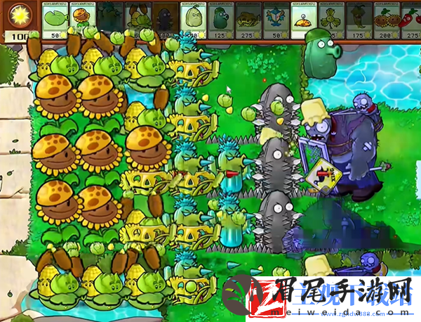 植物大战僵尸杂交版钢刺坚果王2通关攻略
