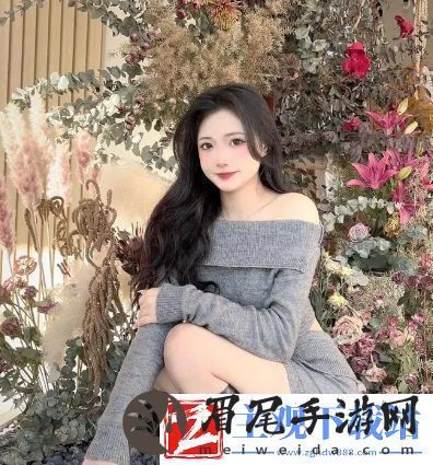 人与动物PPT免费模板大全
