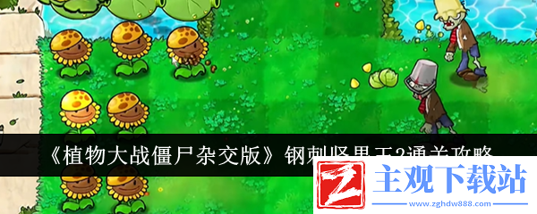 植物大战僵尸杂交版钢刺坚果王2通关攻略